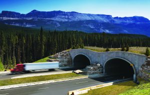 Verkeerstunnel Super Cor BCT